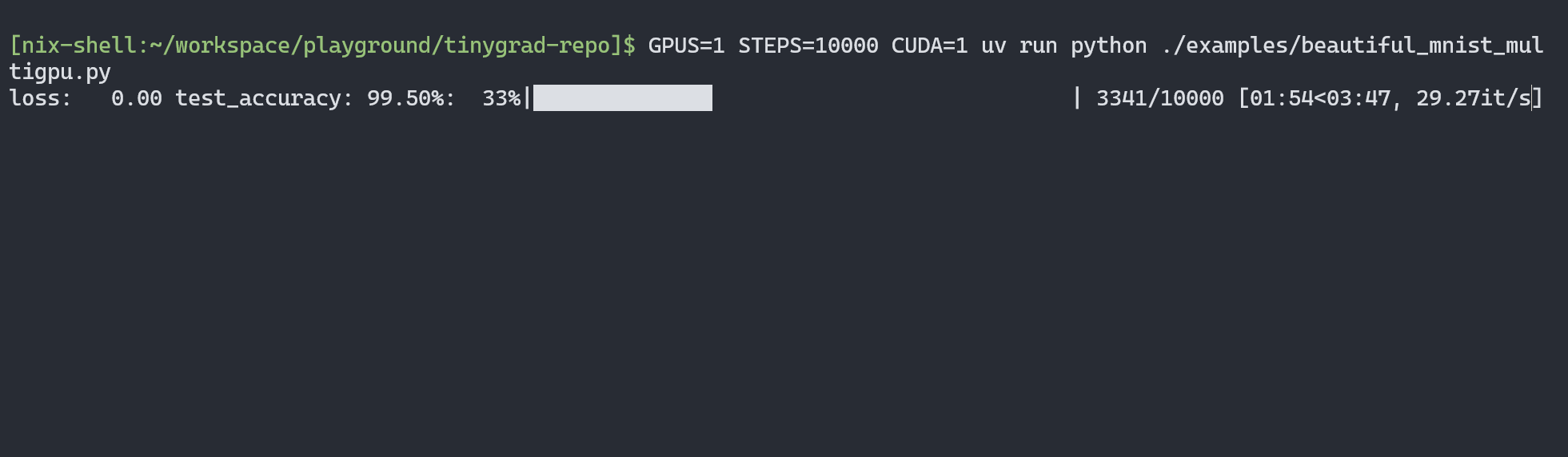Screenshot of output from Tinygrad's multi-GPU MNIST example on a single 4090 GPU running at 29 iterations per second